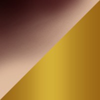 MANEL Color Ecaille beige / Or