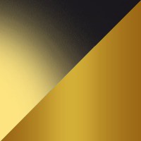 DENVER Farbe Leichtes Schildpatt / Gold